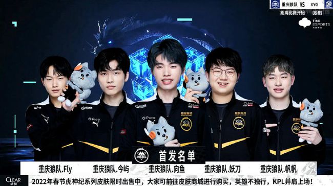 篮球纯洁性