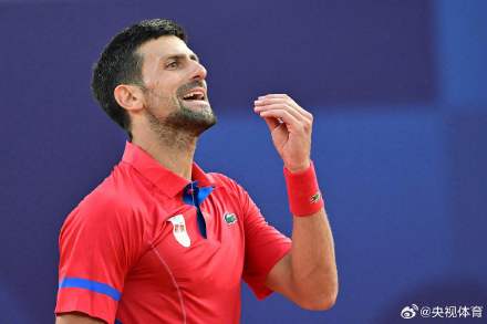 以期推动国 以期推动国