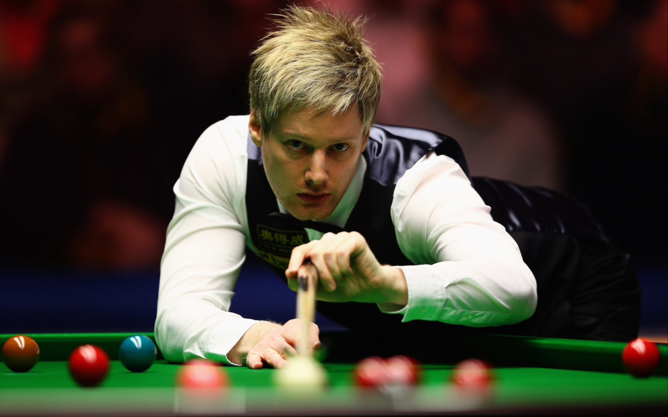 罚单与牌照 罚单与牌照